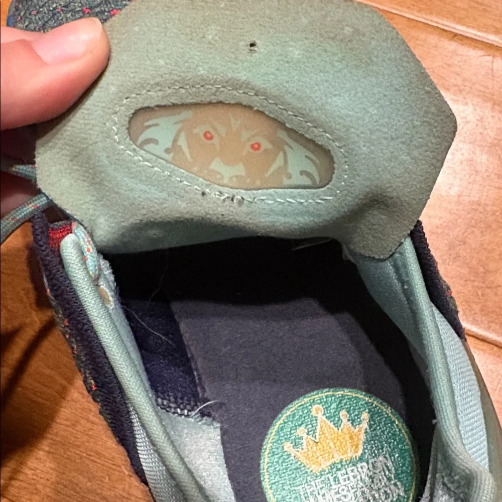 Nike Lebron gently used